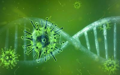 Informationen der Stadt Halberstadt zur Situation Coronavirus