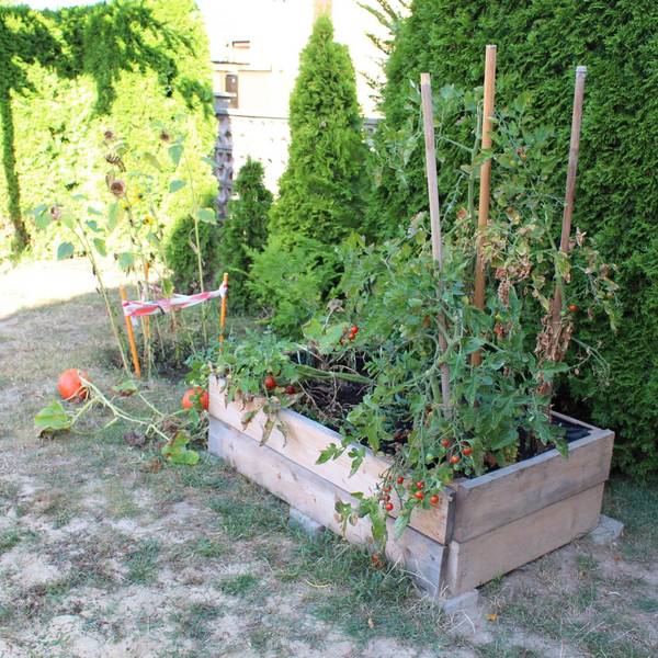 Kita Storchenkinder Emersleben - Außenansicht &copy;Kita Emersleben