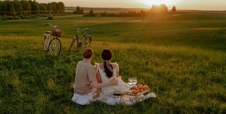seite 31 natur und genuss in den spiegelsbergen foto pexels ron lach