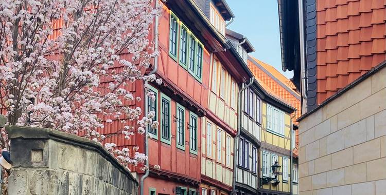 altstadt rosenwinkel nicole huhn