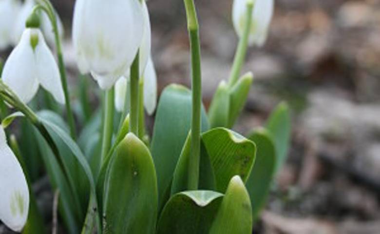 zoo in spring