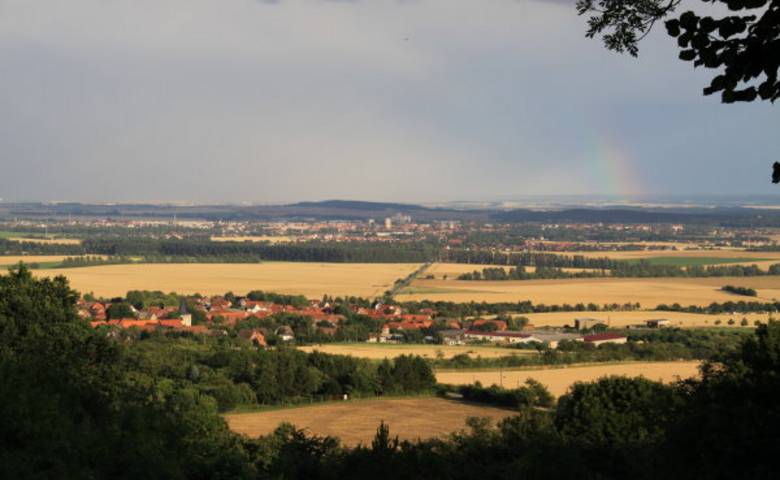 Sargstedt