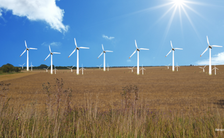 Halberstadt im Aufwind - Beispielbild