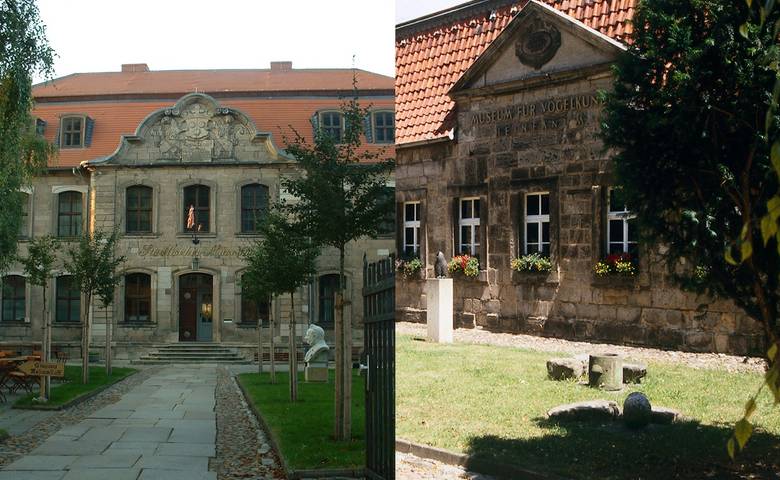 Museum und Heineanum geschlossen ©Städtisches Museum Museum und Heineanum geschlossen ©Städtisches Museum