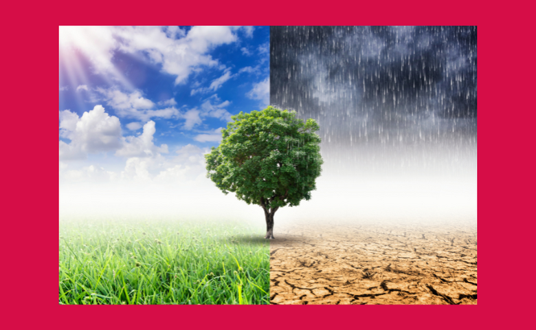 Klimastammtisch- der Stadt Halberstadt