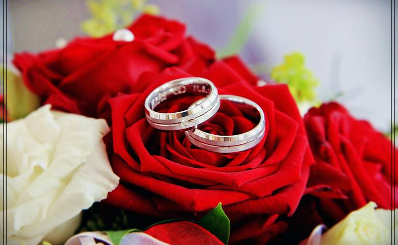 Alle wichtigen Informationen zum Standesamt Halberstadt &copy; Stadt Halberstadt