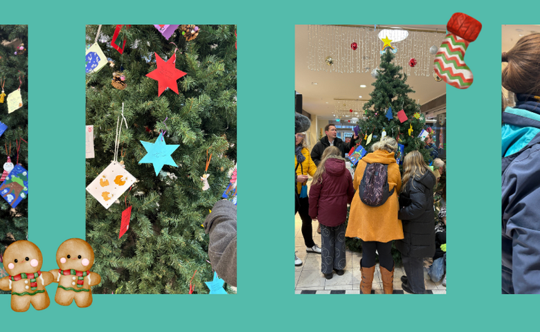 Halberstädter Wunschweihnachtsbaum 2025