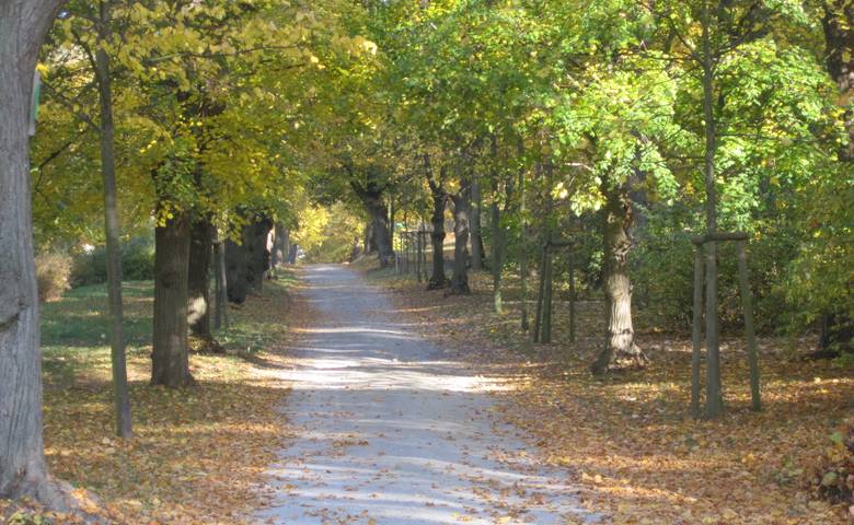 Park Spiegelsberge © Stadt Halberstadt