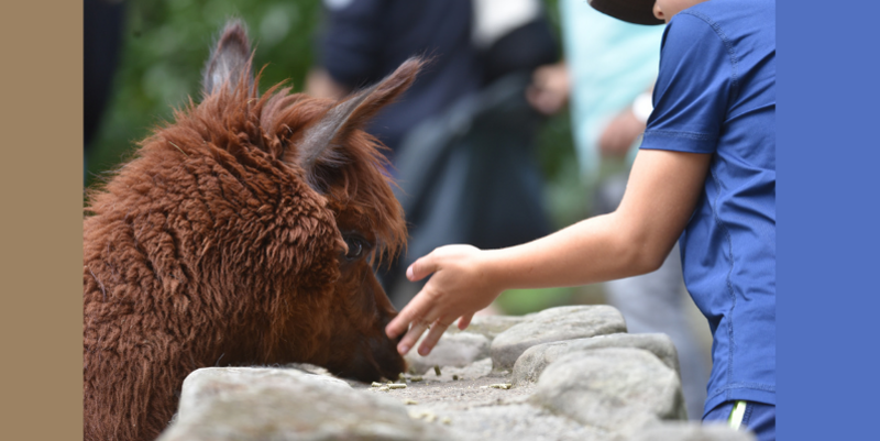 Kindertag im Tiergarten PM