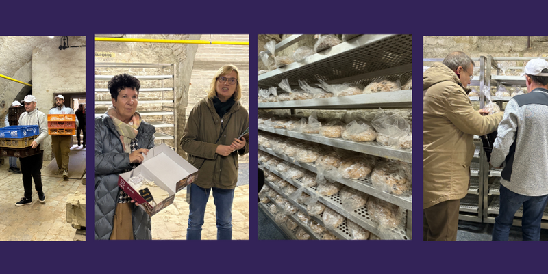 domstollen einlagern