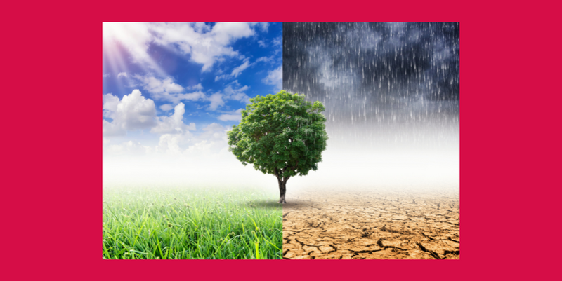 Klimastammtisch- der Stadt Halberstadt © Stadt Halberstadt klimastammtisch 1