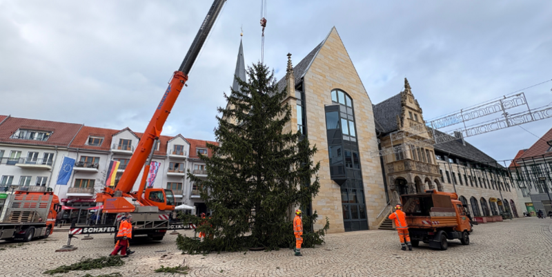 PM  Weihnachtsbaum am Rathaus der Stadt Halberstadt aufgestellt