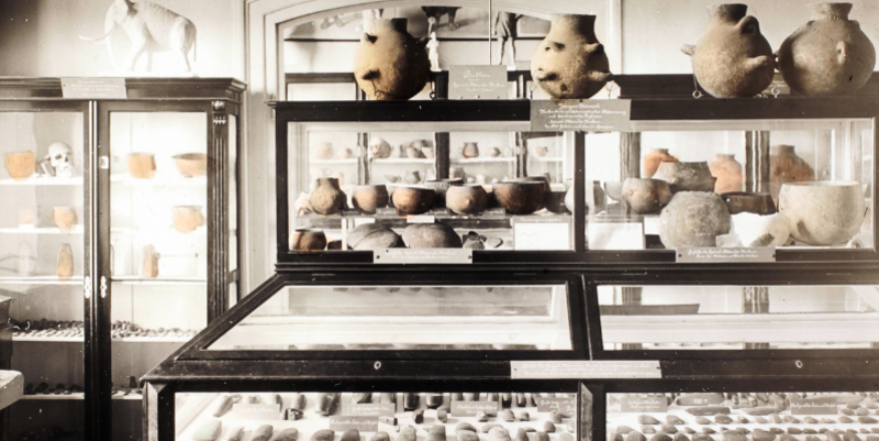 PM   Sonderveranstaltung am 7. Dezember Von Scherben, Knochen und Steinwerkzeugen – 120 Jahre archäologische Sammlung im Städtischen Museum Halberstadt