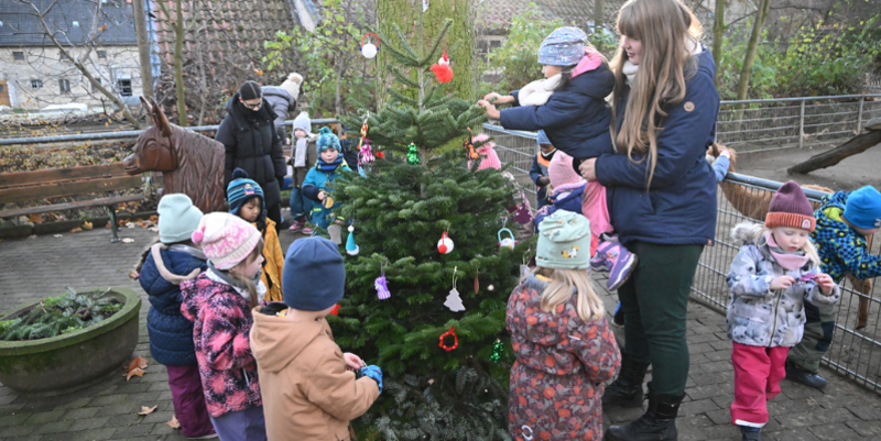 PM   Weihnachtsbaumschmücken im Tiergarten