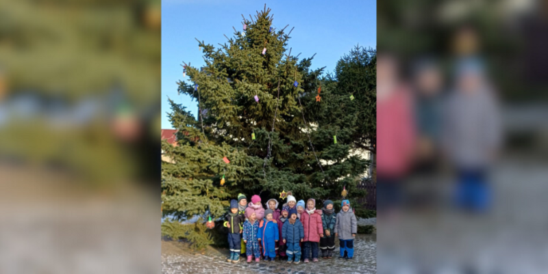 Weihnachtsbaum in Emersleben geschmückt © Anja Krickow PM Weihnachtsbaum in Emersleben geschmückt