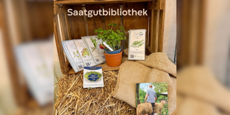 In diesem Jahr kann wieder Saatgut in der Halberstädter Stadtbibliothek ausgeliehen werden © Maria Schmidt PM Informationen aus der Halberstädter Stadtbibliothek