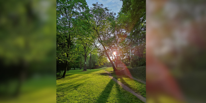 PM   Frühlingsausflüge in Halberstadt Stadtspaziergänge im Mai