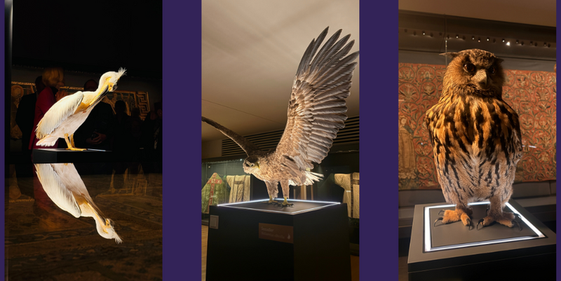 Stoffe mittelalterlicher Vogelwelten © Stadtmarketing; IdeenGut pm slider sonderausstellung stoffe dom heineanum