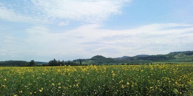 Rundfahrt duch den Harz