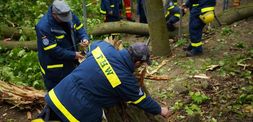 THW-Einsatz im Tiergarten - 70 Mann und 20 Fahrzeuge © Stadt Halberstadt, Tiergarten - Florian Hartmann