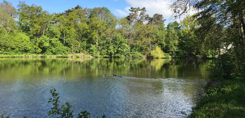 oelmuehlenteich