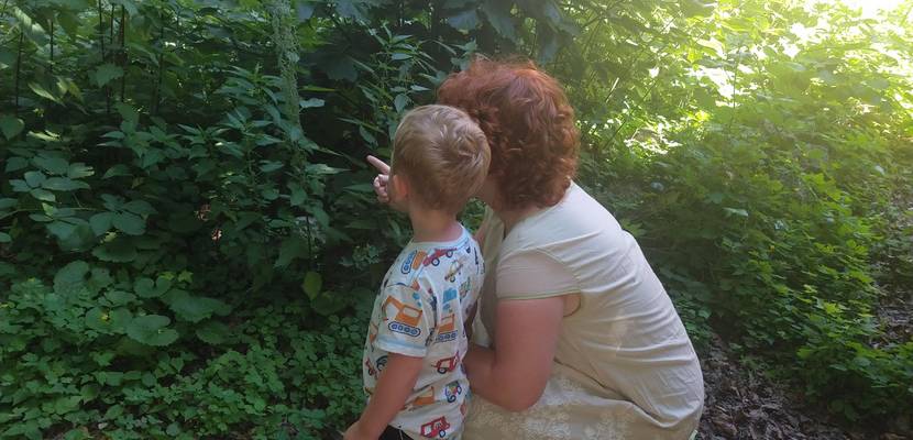 Kräuterführungen im Städtischen Museum © Städtisches Museum