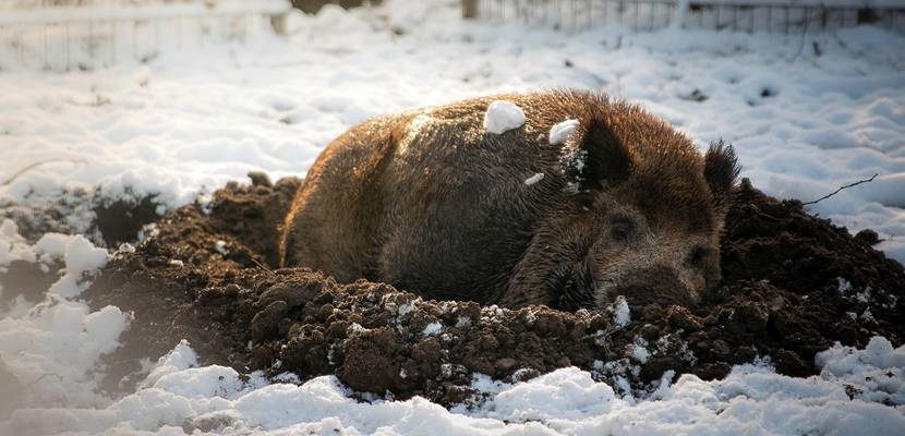 Wohlfühlen im Schnee © Florian Hartmann