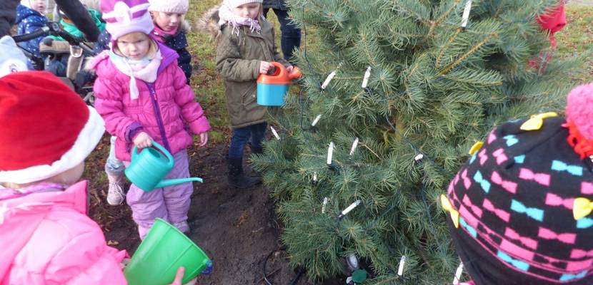 Die Kinder der Kindertagesstätte Pusteblume beim Gießen der Tanne.