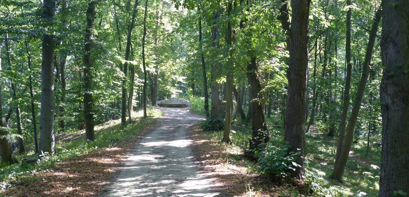 Romantische Parkanlage Spiegelsberge © Stadt Halberstadt/Pressestelle/Ute Huch