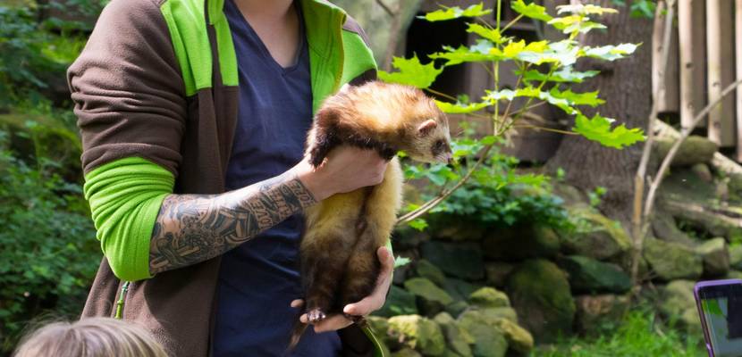 Angebote des Tiergarten Halberstadt für Kindergruppen