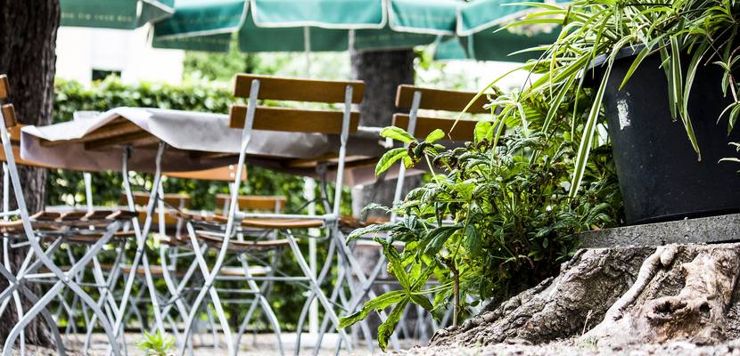 Sondernutzung Gaststätten © pixabay