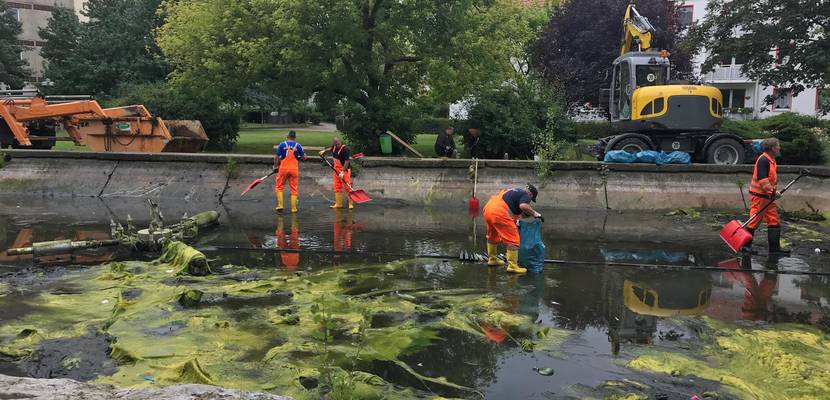 Stala und AWH sind mit großem Gewerk und Maschinen am Springbrunnen Schützenstraße/Ecke Breiter Weg im Einsatz. Dabei werden Unmengen von Müll aus dem Brunnenbecken geholt und das angesammelte Regenwasser abgepumpt. © Stadtverwaltung Halberstadt