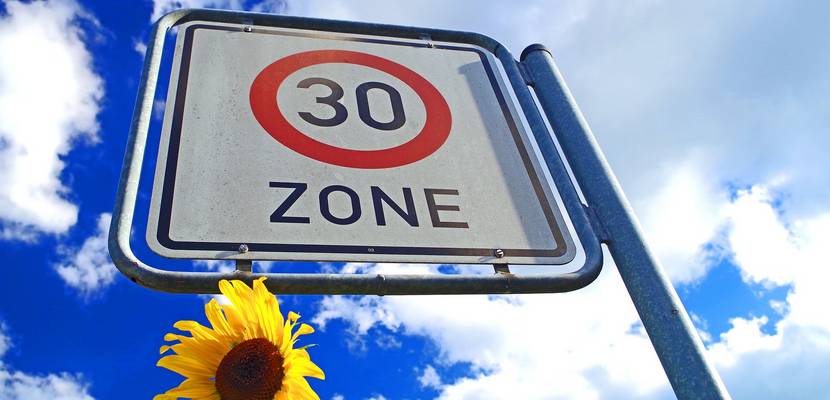 30iger Zone und Sonnenblume