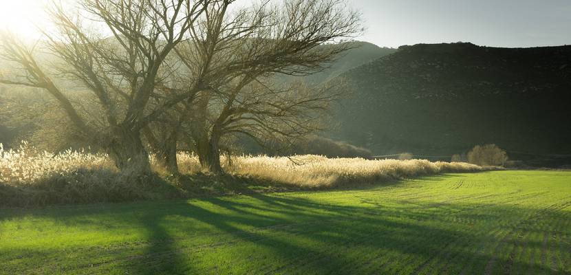 Wiese und Feld - reine Luft - Beispielfoto