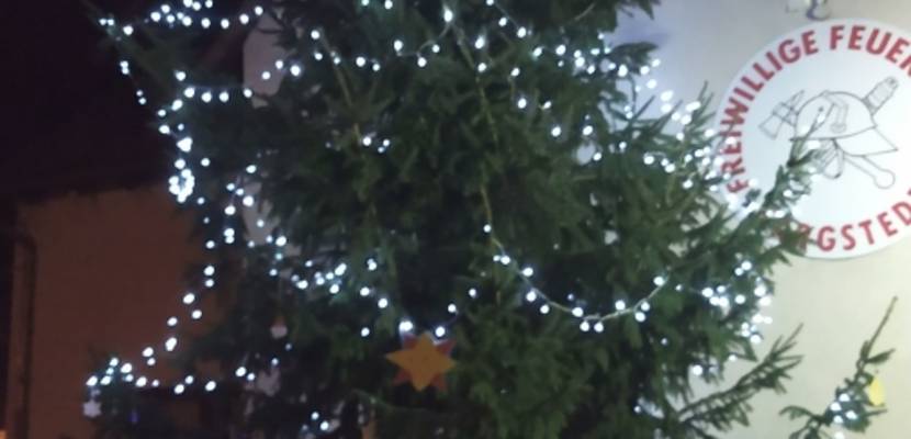 Gewinnbaum © Stadt Halberstadt