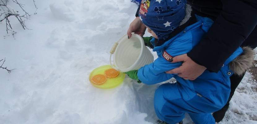 kita ströbeck 4 © Kita Sonnenschein/Ströbeck