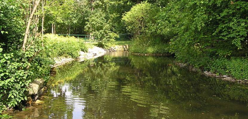 entente florale schwanenteich © Stadt Halberstadt