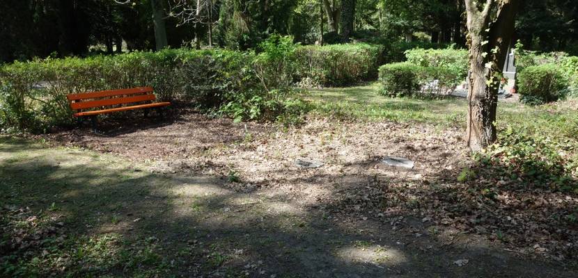 friedhof naturnahe grabstätte 1 © Stadt Halberstadt