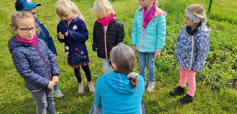 img 20210528 wa0010 © Kita Holzbergwichtel Kräutermemory unterm Gewächshausdach