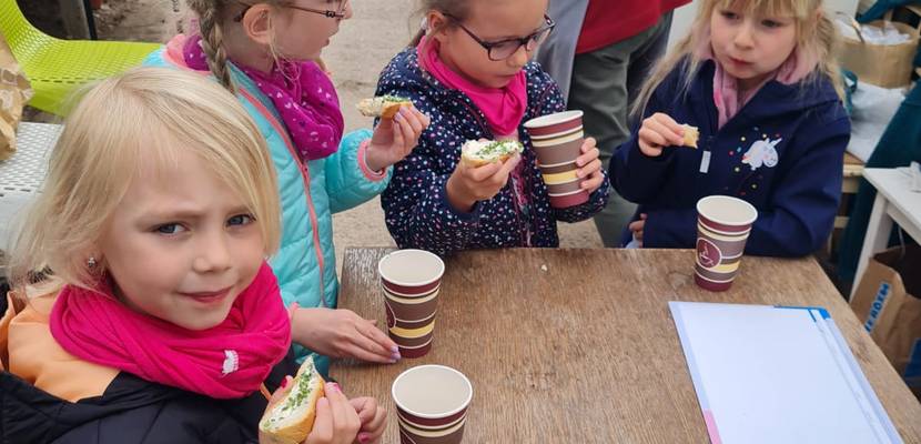 img 20210528 wa0011 1 © Kita Holzbergwichtel Kräutermemory unterm Gewächshausdach