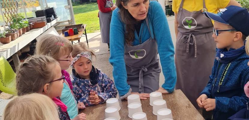 img 20210528 wa0026 © Kita Holzbergwichtel Kräutermemory unterm Gewächshausdach