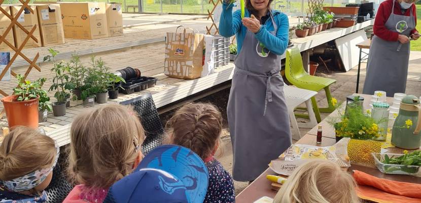 img 20210528 wa0027 © Kita Holzbergwichtel Kräutermemory unterm Gewächshausdach