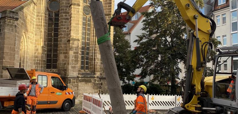 Wichtelweihnachtsgeheimnis