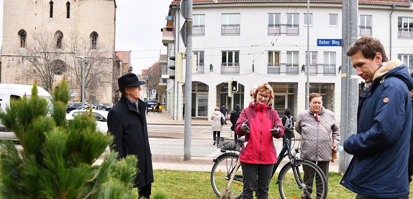 2021 11 20 kiefer ersatzpflanzung(c)pressestelle