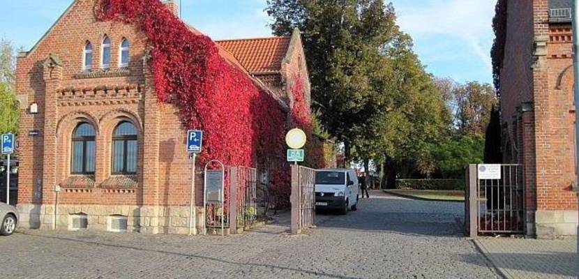 friedhofseingang herbst