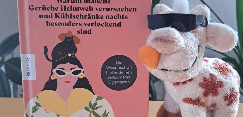 Blogbeitrag im Juli