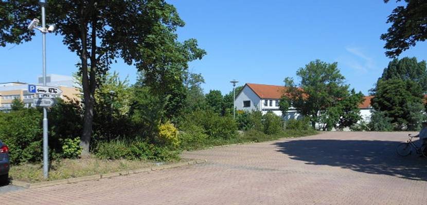 krienitz2 600