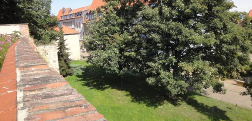 Zwischen drei Kirchen Lichtengraben/Ecke Hoher Weg e 20120815 zwischen drei kirchen 2