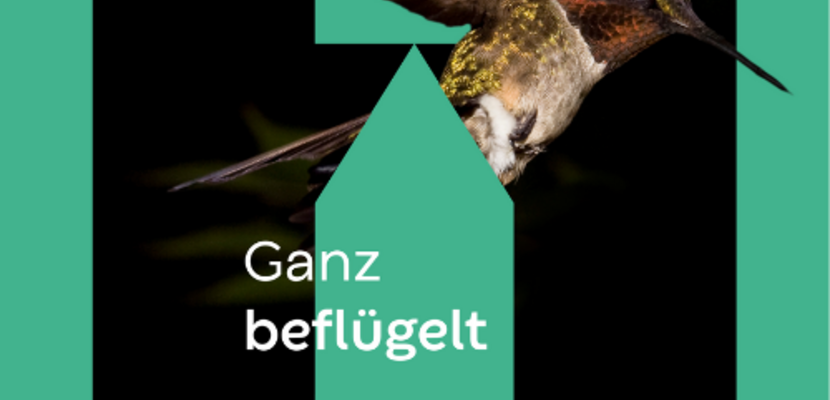 Zwei Jahrzehnte Moderne Vogelmalerei in Halberstadt