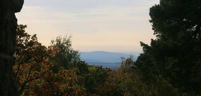 09_Herbstimpressionen